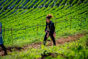 BIB: 
                            <button type="button" onclick="openModal(19162339)" class="btn btn-primary btn-sm float-right btn-popup" data-toggle="modal" data-target=".modal-high-quality">
                        <i class="fas fa-shopping-cart"></i> Add to Cart
                    </button>
                                            <button type="button" onclick="isThisMe(19162339, true)" class="btn btn-success btn-sm float-right btn-popup btn-isme hidden" data-toggle="tooltip" data-placement="bottom" title="นี่คือรูปของคุณใช่ไหม คลิกที่นี่เพื่อเอาเข้าอัลบั้ม">
                        <i class="fas fa-plus"></i> Add to album
                    </button>
                    <button type="button" onclick="isThisMe(19162339, false)" class="btn btn-warning btn-sm float-right btn-popup btn-isnotme hidden">
                        <i class="fas fa-ban"></i> Remove from album
                    </button>